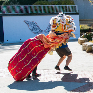 Asian Studies lion dancer